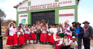 centro para almacenar y mejorar la comercialización de quinua en Puno Perú