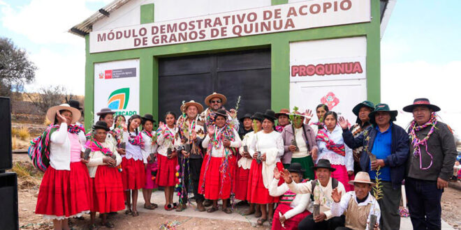 centro para almacenar y mejorar la comercialización de quinua en Puno Perú