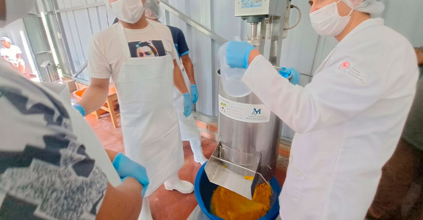 Elaboran aceites de aguaje, ungurahui y huasaí a partir de frutos de palmeras amazónicas Loreto Perú CITEproductivo Maynas, del Instituto Tecnológico de la Producción (ITP)