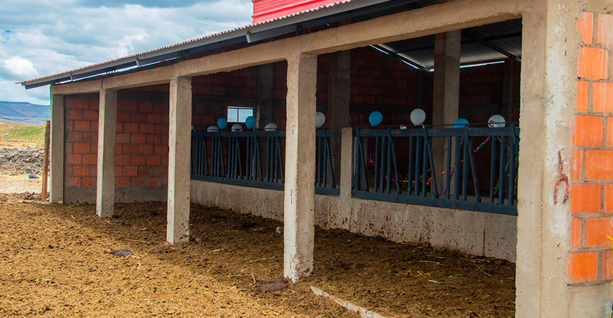 cobertizos para mejorar la protección del ganado lechero en Challqui Coropaque Espinar Cusco Perú