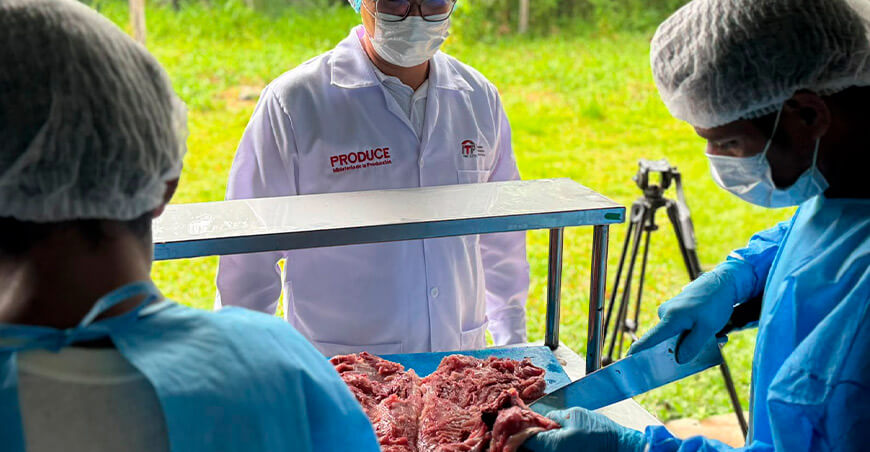 CITEproductivo Maynas del ITP capacitó en el procesamiento de carne de monte para elaborar chorizos a integrantes de la comunidad nativa Bora de Brillo Nuevo Loreto Perú