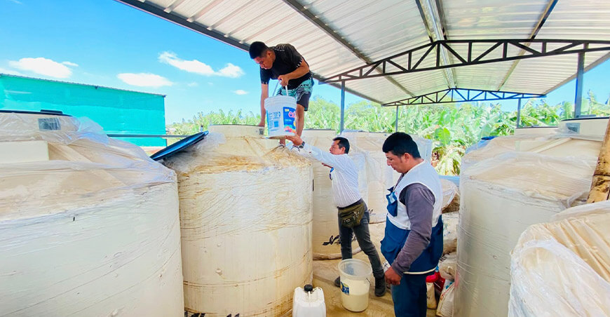 Cooperativa Sol de Colán pone en marcha fábrica piloto de bioinsumos Piura Perú