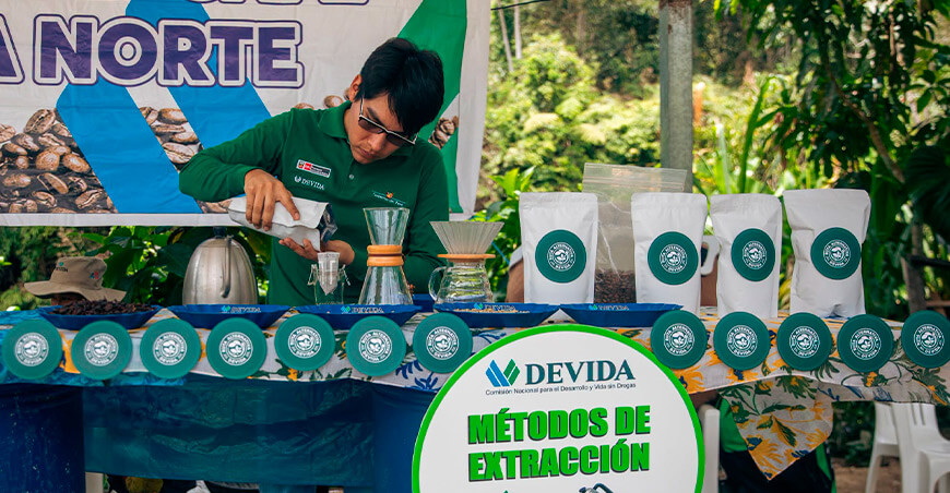 productores adoptaron nuevas técnicas para elevar la productividad de sus parcelas de café Junín Perú Devida 