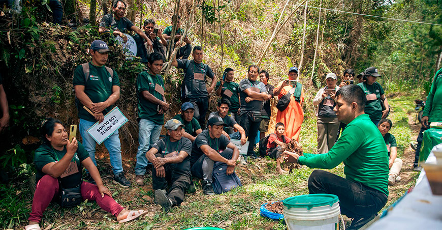 productores adoptaron nuevas técnicas para elevar la productividad de sus parcelas de café Junín Perú Devida