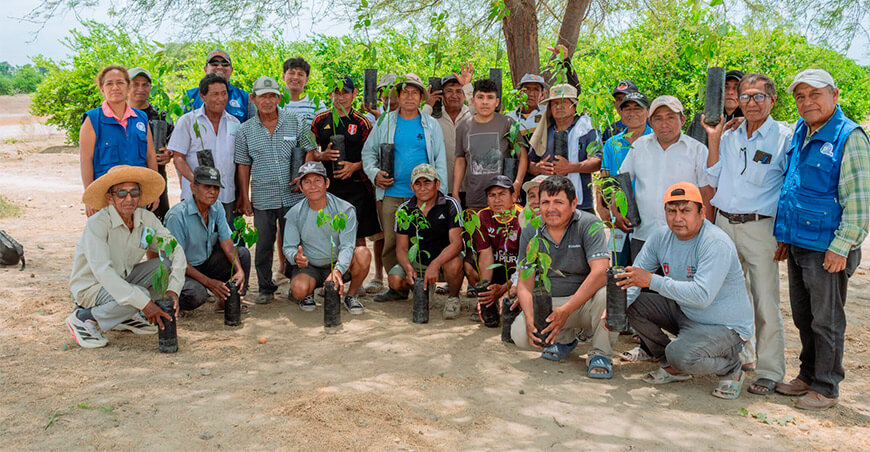 Impulsan la diversificación productiva con entrega de plantones de palto a productores del Medio Piura Perú