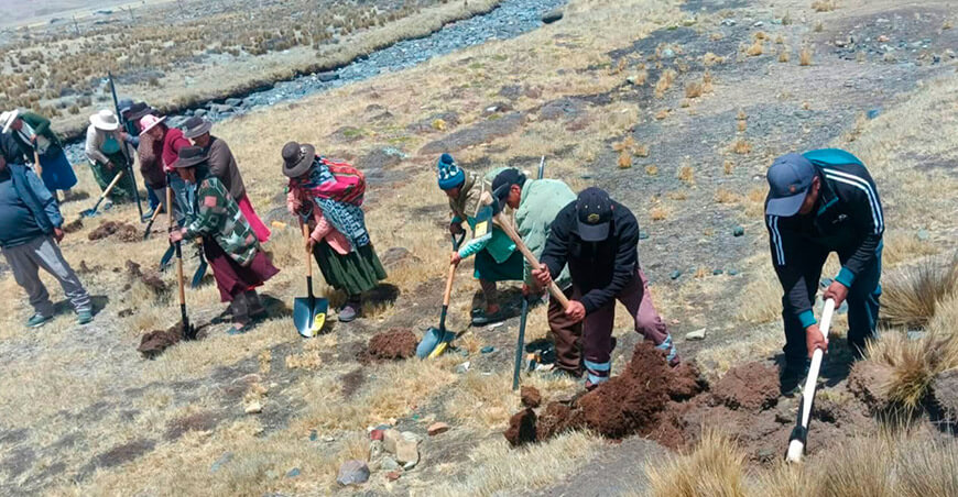 Productores de alpaca reciben herramientas para mejorar el manejo en campo Puno Perú