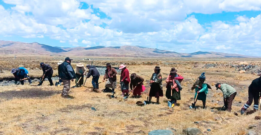 Productores de alpaca reciben herramientas para mejorar el manejo en campo Puno Perú