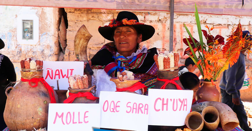 Festival Aqha Raymi Ccochapata Cotabambas Apurímac Perú