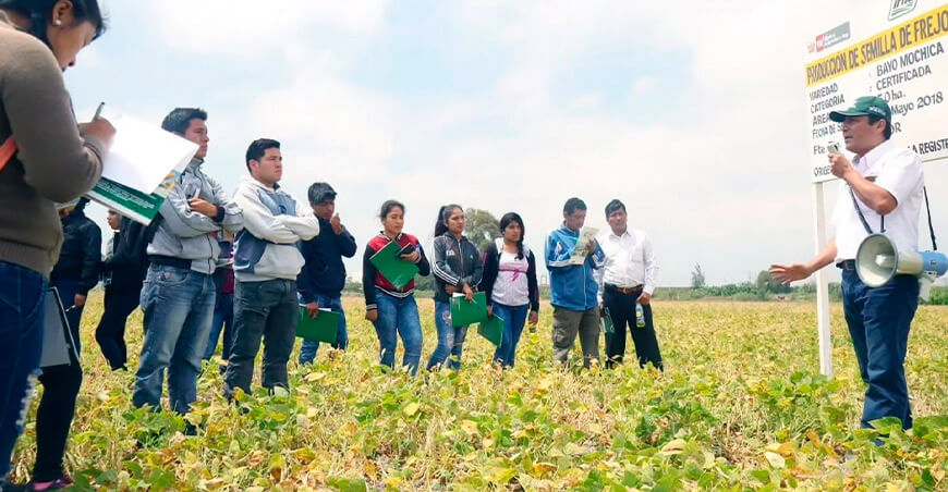 Perú impulsa oportunidades para los jóvenes del campo y fortalece cooperación agrícola con Panamá