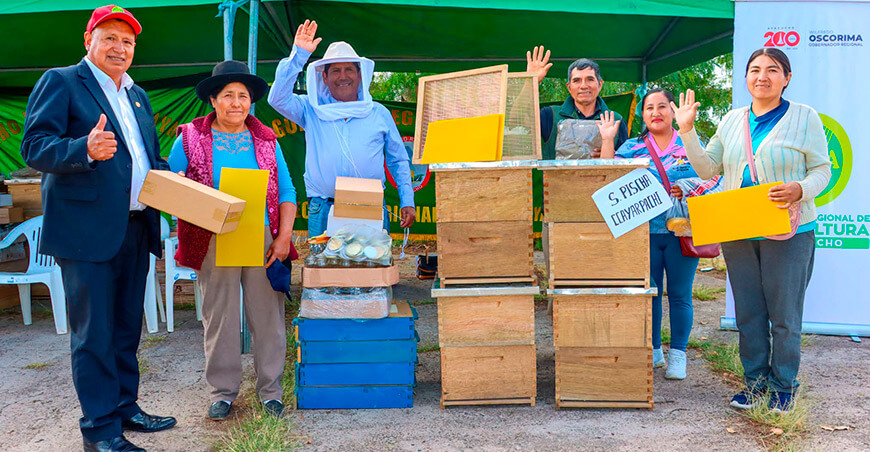 Instalan módulos apícolas en seis provincias para mejorar la producción de miel Ayacucho Perú