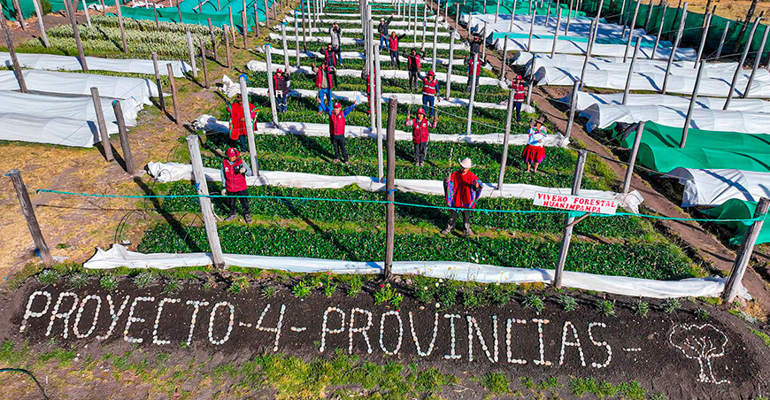 GORE Cusco proyecto 4 Provincias forestación plantones nativos Perú