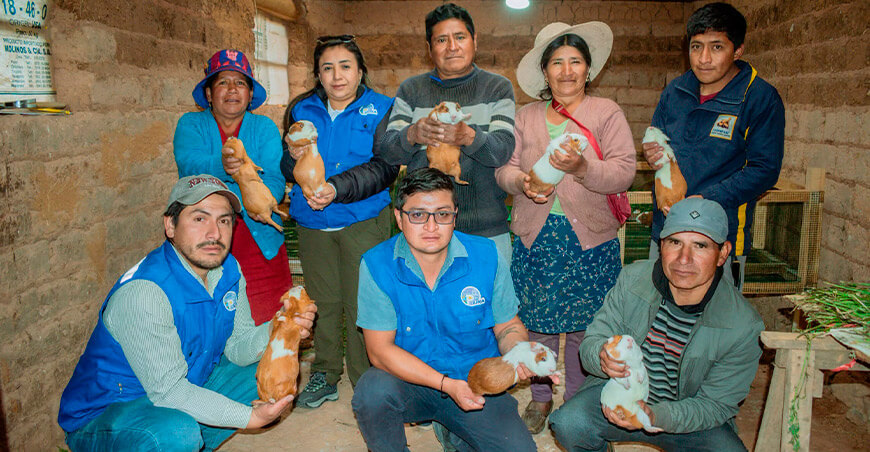 Entregan kit veterinario para mejorar la crianza de cuyes en el caserío Tierras Amarillas Piura Perú
