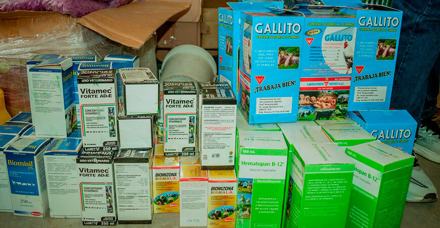 Entregan kit veterinario para mejorar la crianza de cuyes en el caserío Tierras Amarillas Piura Perú