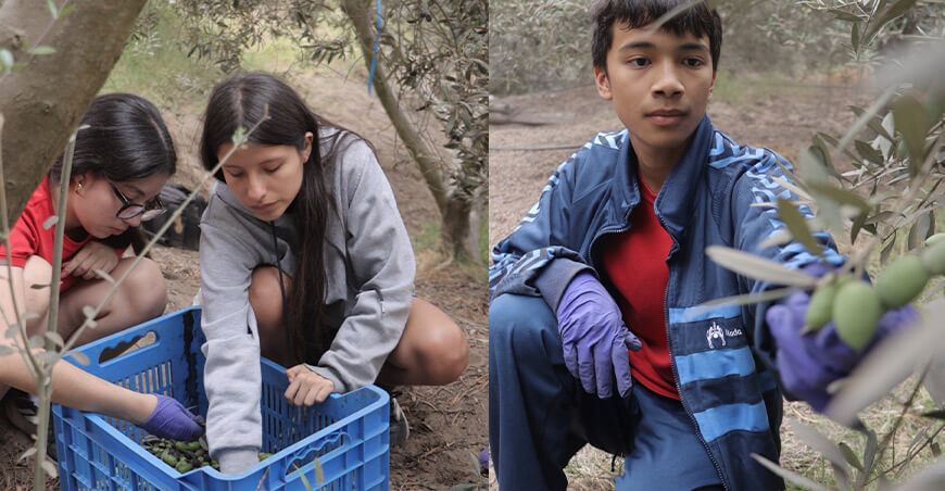 El proyecto Huertos de la Inmaculada acerca a los estudiantes a la producción agrícola, el análisis de datos y las etapas de transformación y comercialización