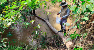 Bosque de la microcuenca Agua Blanca se conserva casi intacto cerca de su desembocadura Ucayali Perú IIAP