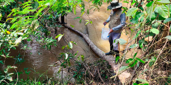 Bosque de la microcuenca Agua Blanca se conserva casi intacto cerca de su desembocadura Ucayali Perú IIAP