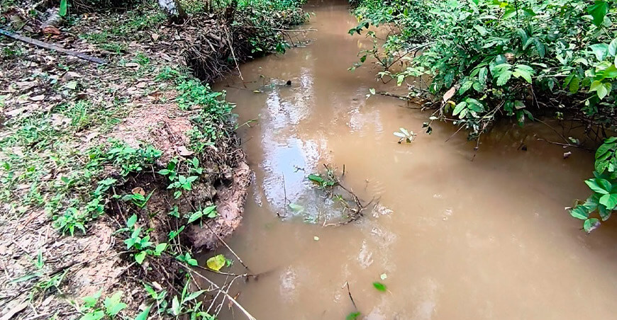 Bosque de la microcuenca Agua Blanca se conserva casi intacto cerca de su desembocadura Ucayali Perú IIAP