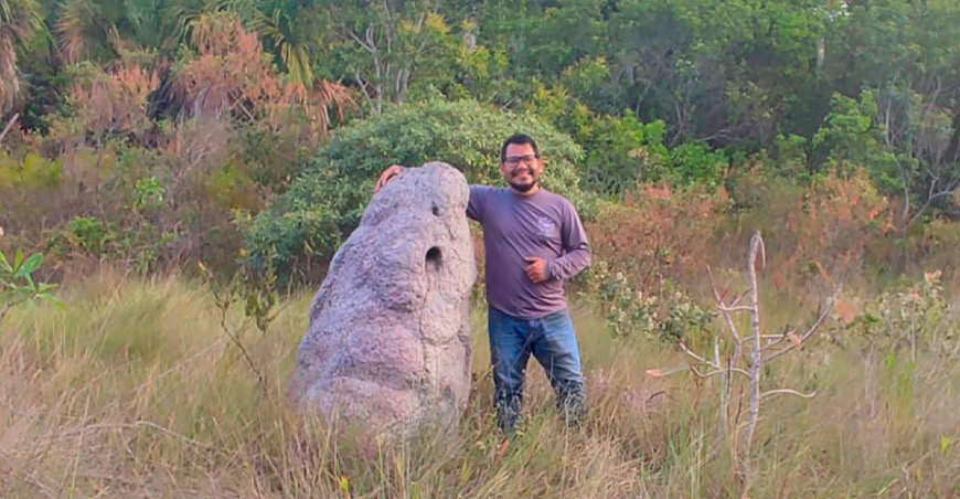 Julio Grandez-Rios, Investigador peruano estudia cómo la diversidad vegetal y la época seca influyen en las agallas de artrópodos en Brasil