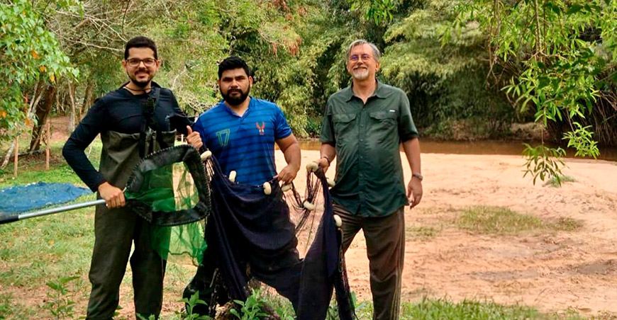 Investigadores de Perú y Brasil descubren una nueva especie de pez en Brasil