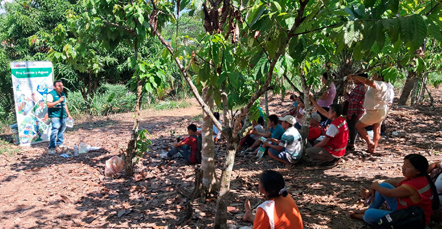 INIA promueve técnicas orgánicas para mejorar la fertilidad de suelos en cultivo de cacao Loreto Perú