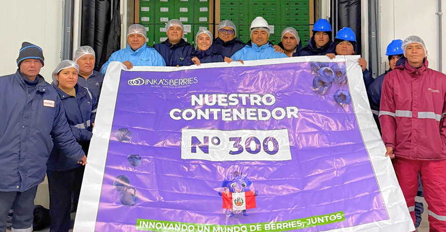 Inka’s Berries alcanza los 300 contenedores exportados en la campaña de arándanos