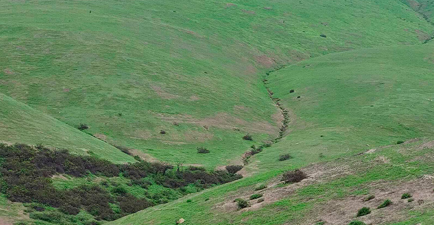 Serfor exhorta a visitantes a proteger la flora y fauna silvestres de las lomas costeras Perú