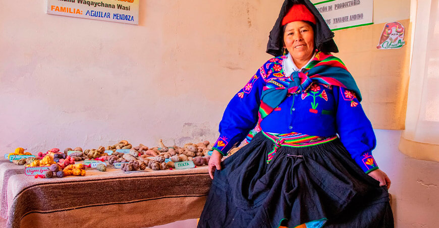 Luzmila Gladis Mendoza Quispe productora de papas nativas y semillas ancestrales Acora Puno Perú