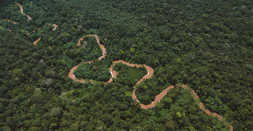 bosques amazónicos Perú