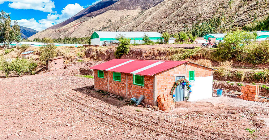 Quiquijana impulsa la crianza tecnificada de cuyes en 10 comunidades campesinas Cusco Perú