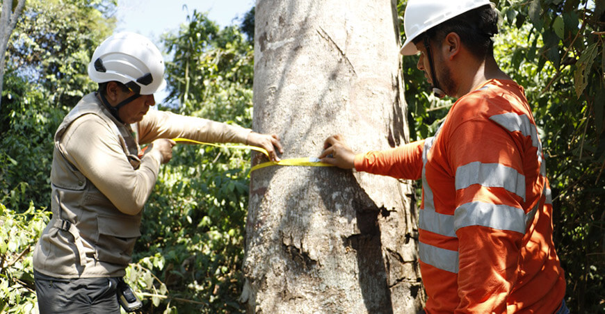 Osinfor conservación de bosques amazónicos Perú