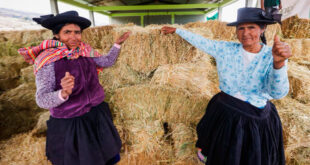 heno para proteger al ganado ante el déficit hídrico Junín Perú