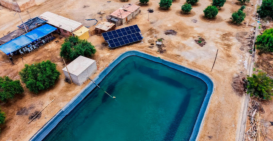 Mejoran sistema de riego con paneles solares en La Yarada Los Palos Tacna Perú