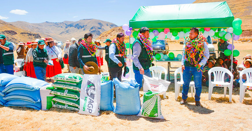 Entregan más de 20 toneladas de semillas de pastos a ganaderos de San Antón Puno Perú