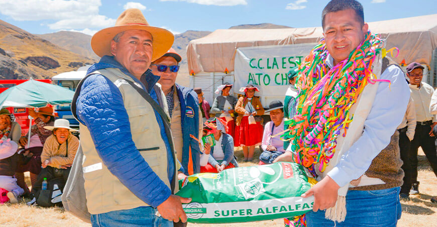 Entregan más de 20 toneladas de semillas de pastos a ganaderos de San Antón Puno Perú