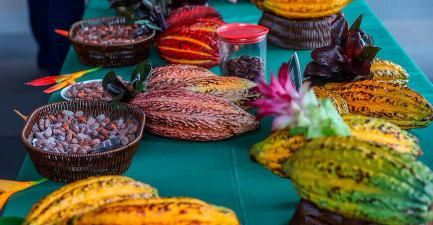 Día Nacional del Cacao y Chocolate