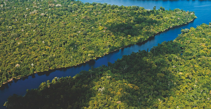 conservación y gestión sostenible de los bosques amazónicos Perú