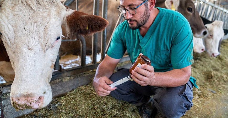 Perú Exportaciones de productos farmacéuticos veterinarios peruanos