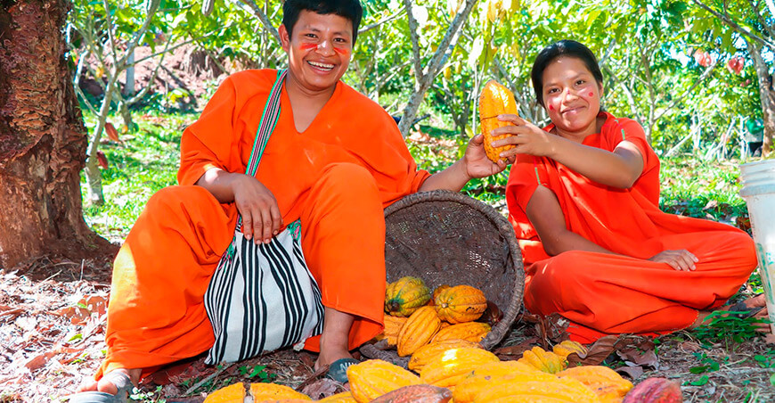 Productores asháninkas y nomatsigengas enviarán 50 toneladas de cacao peruano a Francia con asistencia de Devida Perú