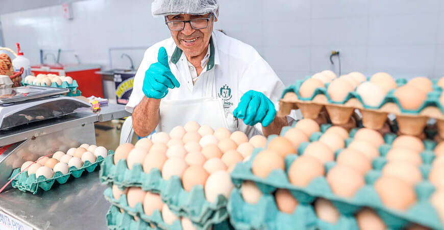 Perú producción de huevos