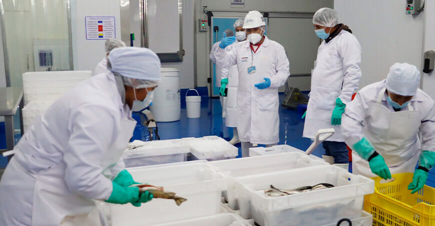 Planta de Santa Lucía queda habilitada para exportar trucha Puno Perú