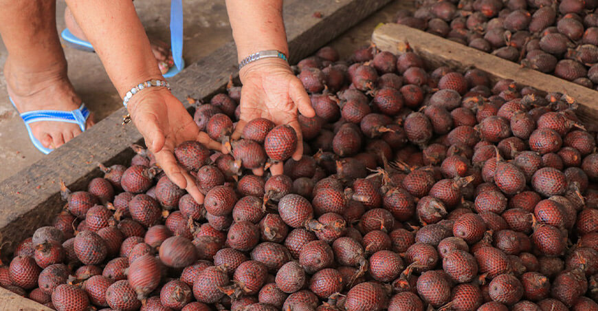 Producción de aguaje Perú