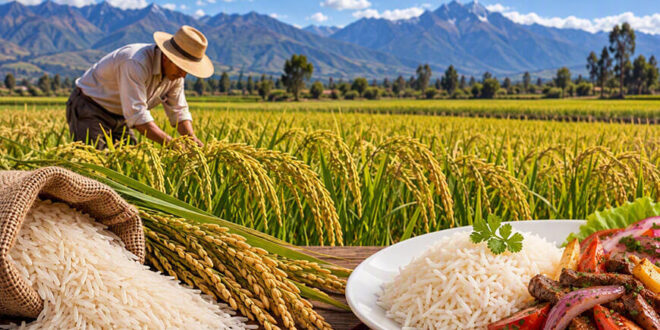 producción de arroz Perú