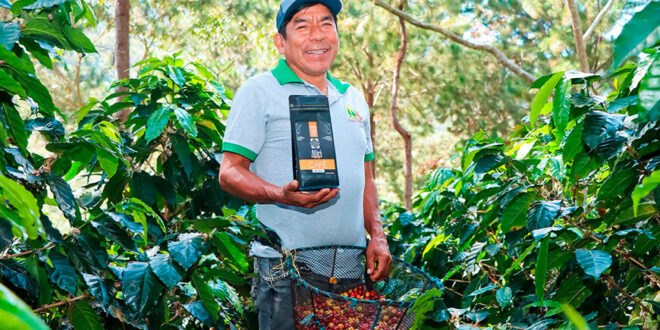 Expovida Huancayo 2026 reunirá a 36 organizaciones productivas de la selva central productor de café Devida Perú