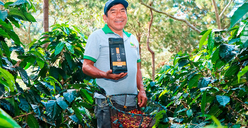 Expovida Huancayo 2026 reunirá a 36 organizaciones productivas de la selva central productor de café Devida Perú