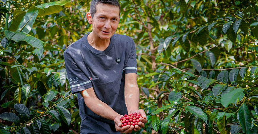 productor de café Hitler Rodríguez Herrera San Vicente Cholón Huánuco Perú Devida