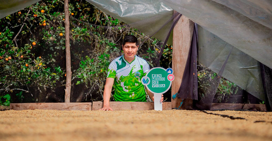 productor de café de Huánuco Perú Devida