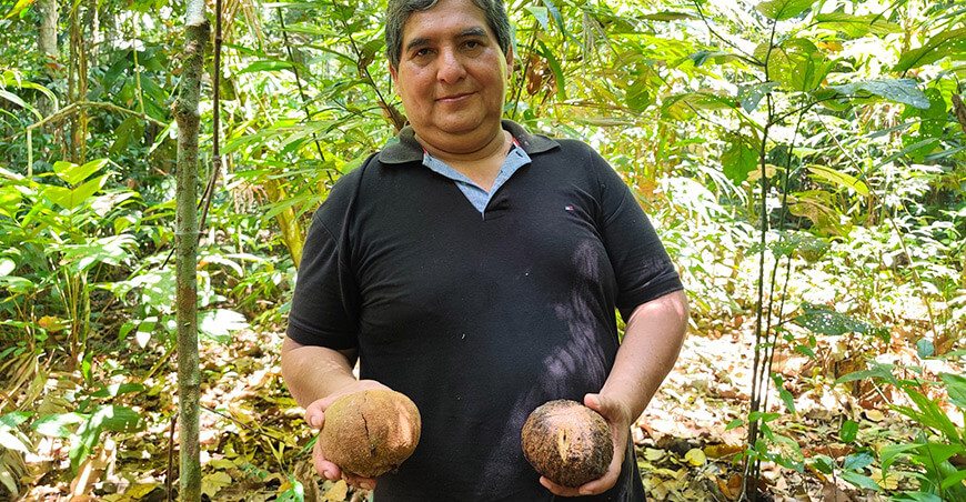 Alfredo Zambrano Tapia productor de castañas Madre de Dios Perú