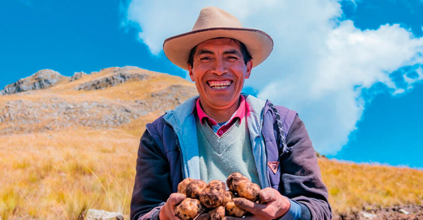 productor de papas nativas Perú