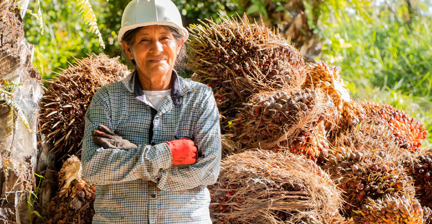 Cocepu transforma la palma aceitera en una cadena de negocios con valor agregado Ucayali Perú