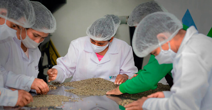  Asociación de Mujeres Emprendedoras de Moyabamba, del distrito de Chungui Ayacucho obtiene primera certificación PGH del sur del Vraem Devida Perú